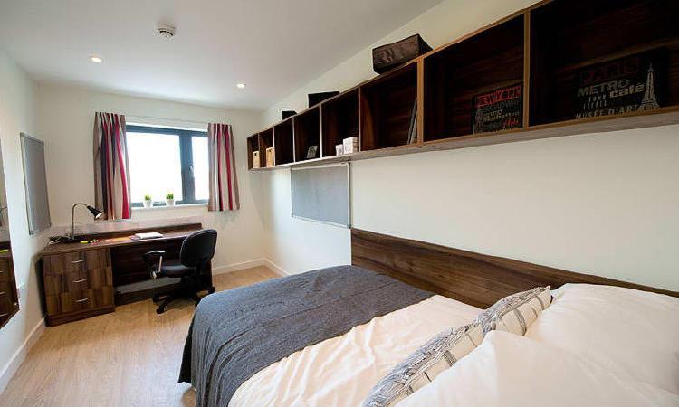 Zeni 5 Bed Apartment In Central Exeter Eksteriør billede